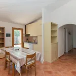 Andrea - * Palau